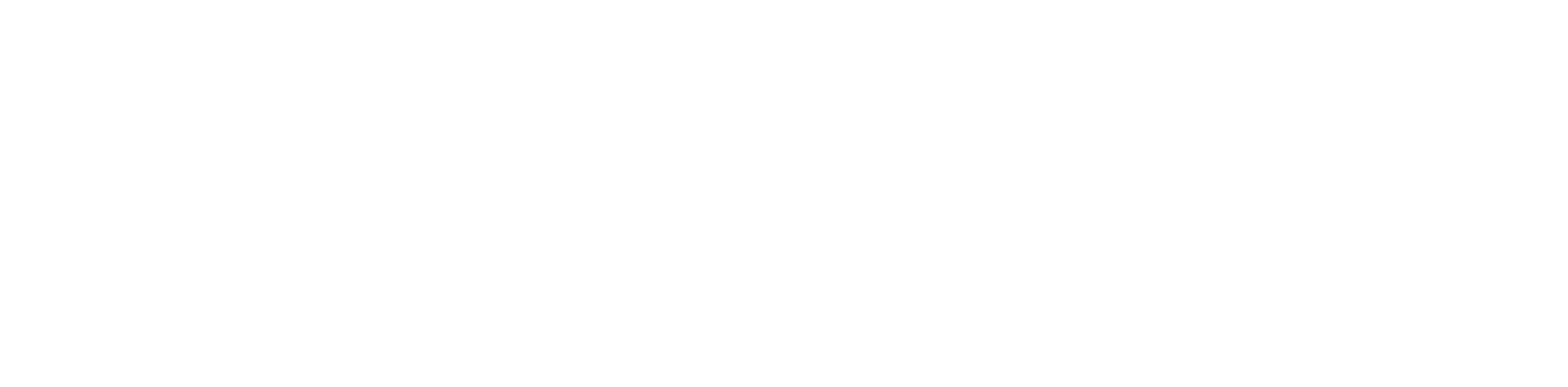 Robopac USA